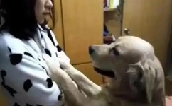 黑人配亚洲女人ZOZO